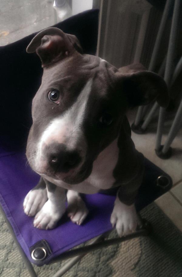 /Images/uploads/Humane Society of Utah/HSUCalendar/entries/1111thumb.jpg
